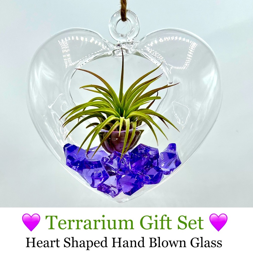 HEART Shaped TERRARIUM Gift Set - Hand Blown Glass & Acrylic Gems FREE Air Plant